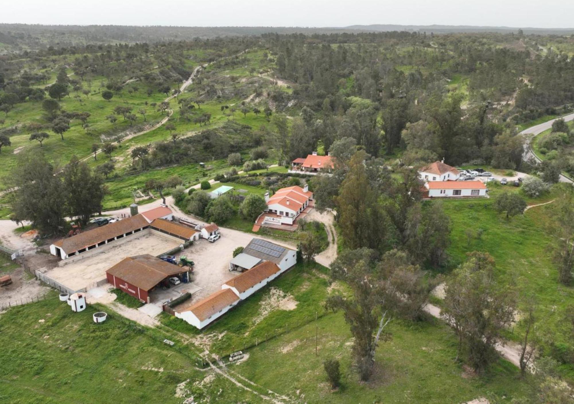 Monte Do Areeiro Villa Coruche Ngoại thất bức ảnh